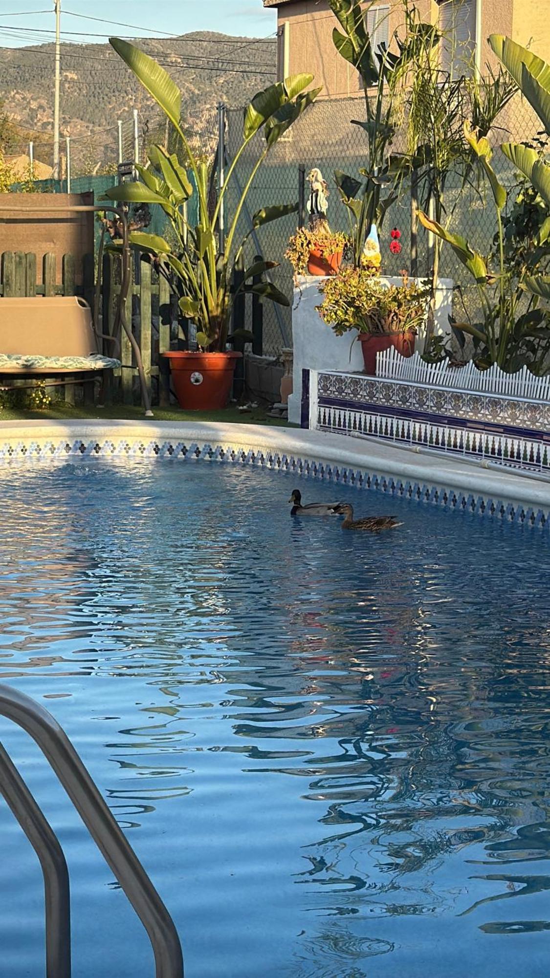 Casa Rural A 4Km De Murcia Con Piscina Y Spa Caliente Екстериор снимка